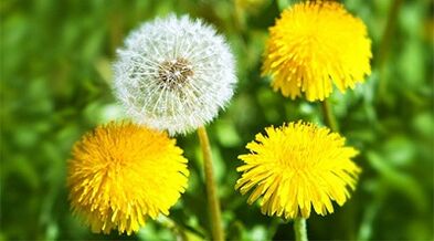 folk erremedioak erabiliz papilomak kentzeko metodoak